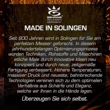 Набір кухонних ножів Gehrig Solingen Home, 6 предметів, з бруском, Made in Germany