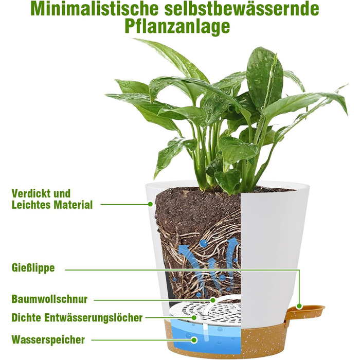 Набір горщиків для квітів 6 шт. з автополивом, чорний (білий+коричневий), 20.3-12.7 см. Ідеально для дому та балкону