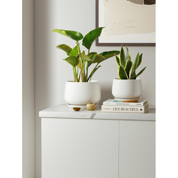 Керамічні горщики LE TAUCI з підставкою, 10+13+16 см, набір з 3 горщиків для кімнатних рослин, з дренажним отвором (білий)