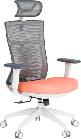 Крісло офісне OfficePro Balance OC550-W-DG-OR