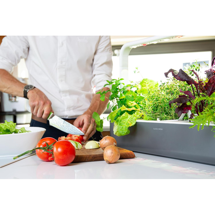 Click and Grow Indoor Garten: Розумний сад для вирощування зелені вдома з LED, 9 капсул (Темно-сірий)