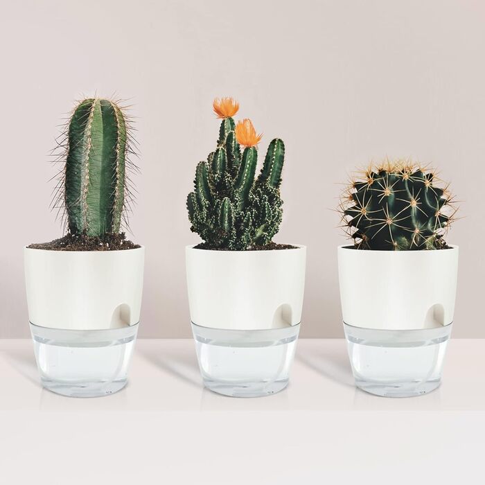 Набір горщиків для квітів з пластику (6 шт.) з автополивом, 22.3/15.3/10.5/8.2 см, для кімнатних рослин, квітів та трав - білий