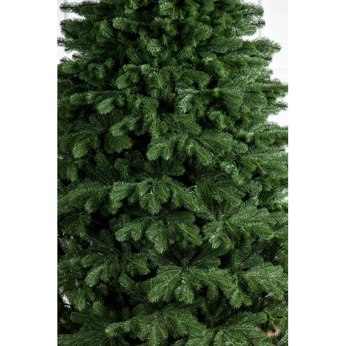 Ялинка лита 'Версальська' Зелена 2,10м