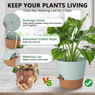 Набір з 2 горщиків для квітів 25.4 см, пластик, з системою поливу, для дому, балкону, саду, сукулентів, кактусів (зелений, коричневий)