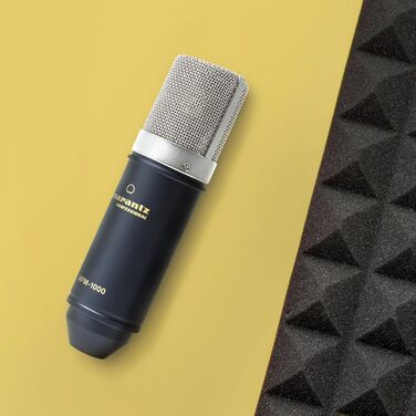 Конденсаторний мікрофон Marantz Professional MPM1000 з поп-фільтром, амортизатором, штативом та XLR кабелем для дому та студії