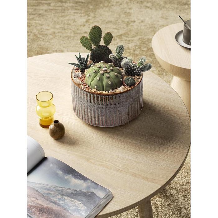 Набір горщиків для сукулентів LE TAUCI, 16,5+20 см, кераміка, для дому, з дренажними отворами, сучасний циліндричний дизайн, набір 2 шт., реактивна глазур чорного кольору