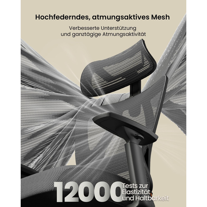 Крісло офісне ProtoArc EC100 чорне з підлокітниками та регульованою спинкою, Mesh, для дому та офісу