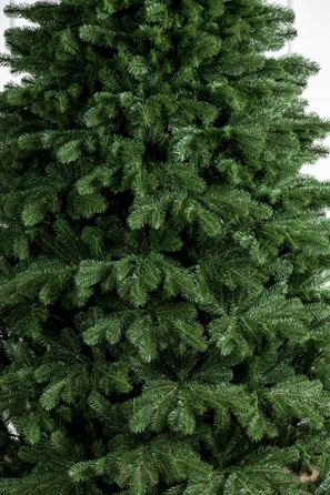 Ялинка лита 'Версальська' Зелена 2,10м