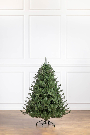 Ялинка лита 'Міланська' ПАРАСОЛЬКА ЗЕЛЕНА 1,80м