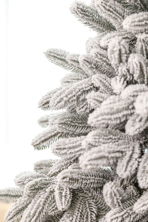 Ялинка лита 'Лапландська' ЗАСНІЖЕНА 2,50м