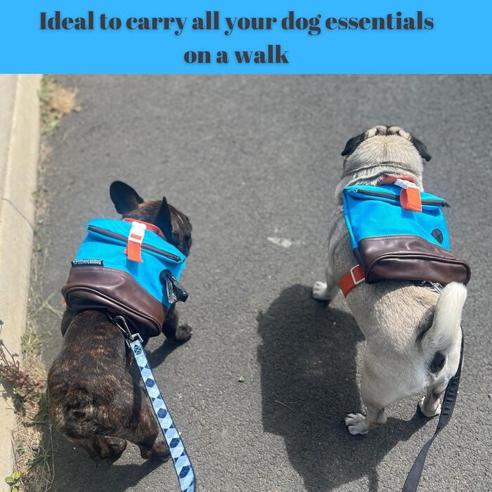 Рюкзак для собак SIMA SIOP