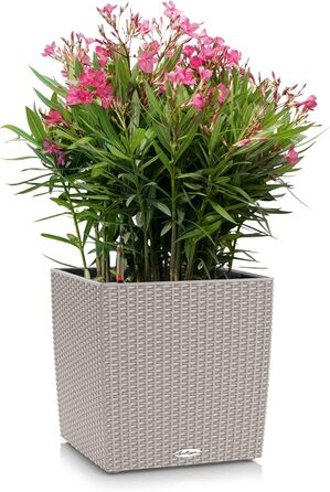 Горщик Lechuza Cube Cottage 30, 30x30x30 см, система автополиву, пісочно-коричневий