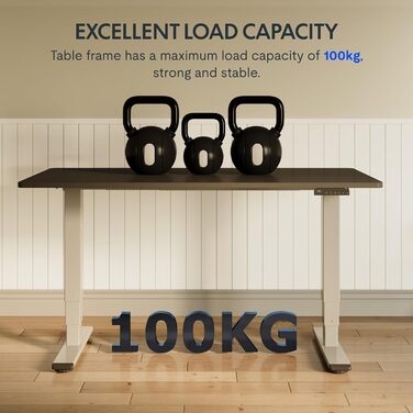 Електричний регульований стіл FLEXISPOT 120x80 см з подвійним мотором - ергономічний стоячий стіл для дому та офісу, 100 кг, тиха робота (<50 дБ), сірий + чорний