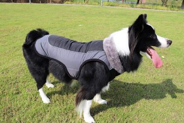 Тепла куртка Idepet для собак, водонепроникний зимовий костюм для домашніх тварин, світловідбиваючий вітрозахисний одяг для маленьких і середніх собак Червоний (XS, Чорний)