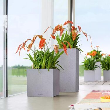 Горщик LECHUZA CUBE Color Triple Sandbraun (40x14x13,5 см)