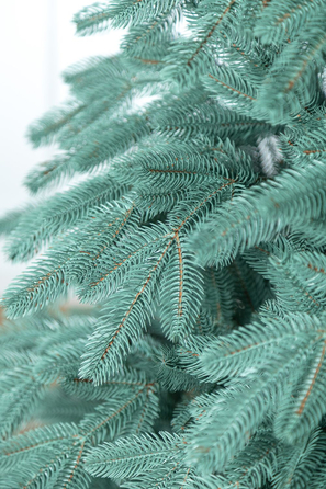 Ялинка лита 'Лапландська' ПАРАСОЛЬКА БЛАКИТНА 3,00м