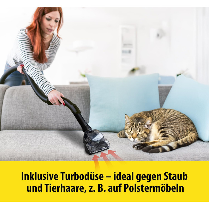 Пилголом Carrera чорного кольору: пилосос циклонного типу, з кабелем, компактний, 800W, HEPA-фільтр, висока потужність всмоктування