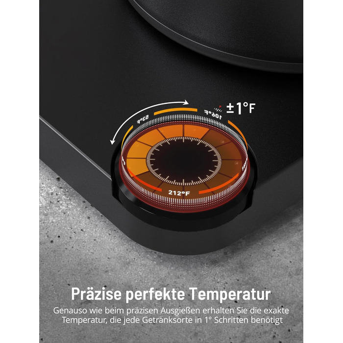 Електричний чайник Гусяча шия, Paris Rhne Temp Variable, 0,9 л, бойлер для швидкого нагрівання води, утримання температури 1 год, нержавіюча сталь, чорний