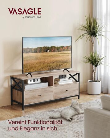 Тумба під ТВ VASAGLE, 120 см, для телевізора до 55 дюймів, 2 шухляди, 2 відкриті полиці, сталевий каркас, вінтажний колір, LTV300B01