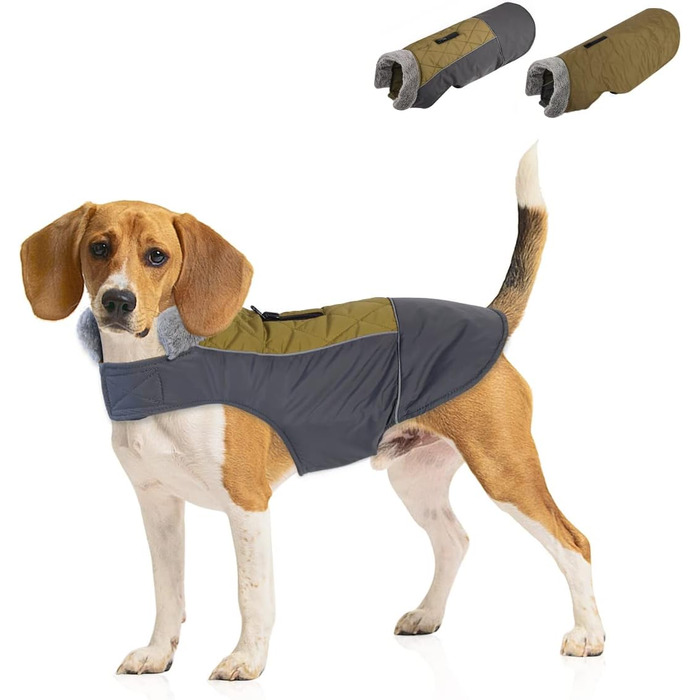 Тепла собача шуба Besmall для маленьких і середніх собак, куртка для собак з бавовняною підкладкою, водонепроникна, вітрозахисна на зиму, змінний дизайнерський одяг (XL,) (XXL (розмір грудей 68-80 см), зелена)