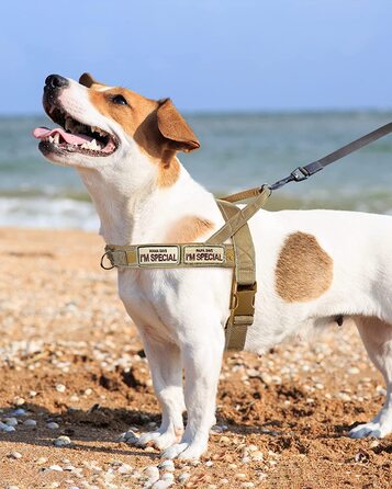Шлейка для собак Eeyfarog No Pull для маленьких і середніх собак, світловідбиваюча, стійка до викидів, регульована без натягу, шлейка для собак (коричнева, XL) XL коричнева