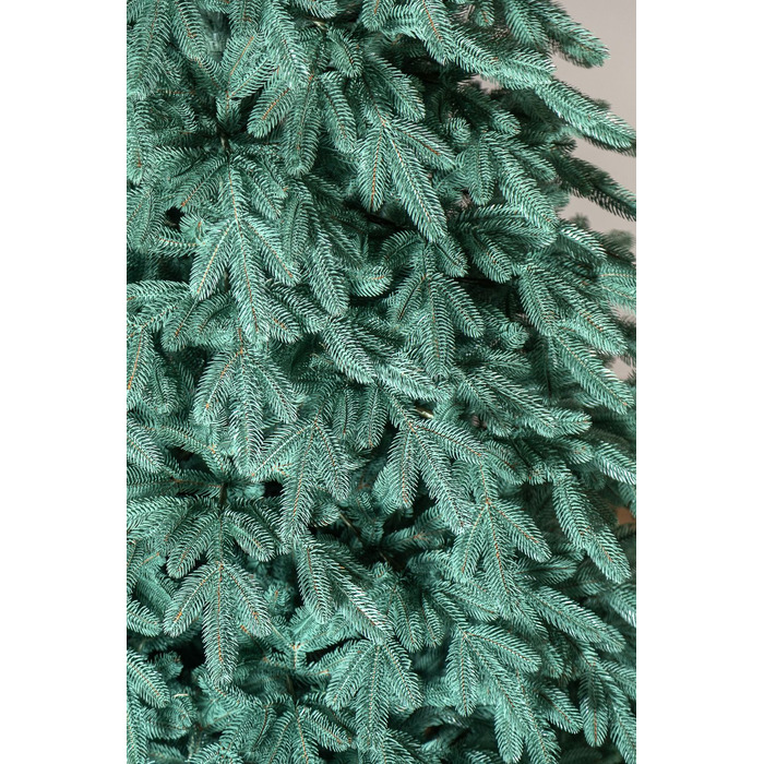 Ялинка лита 'Лапландська' ПАРАСОЛЬКА БЛАКИТНА 3,00м