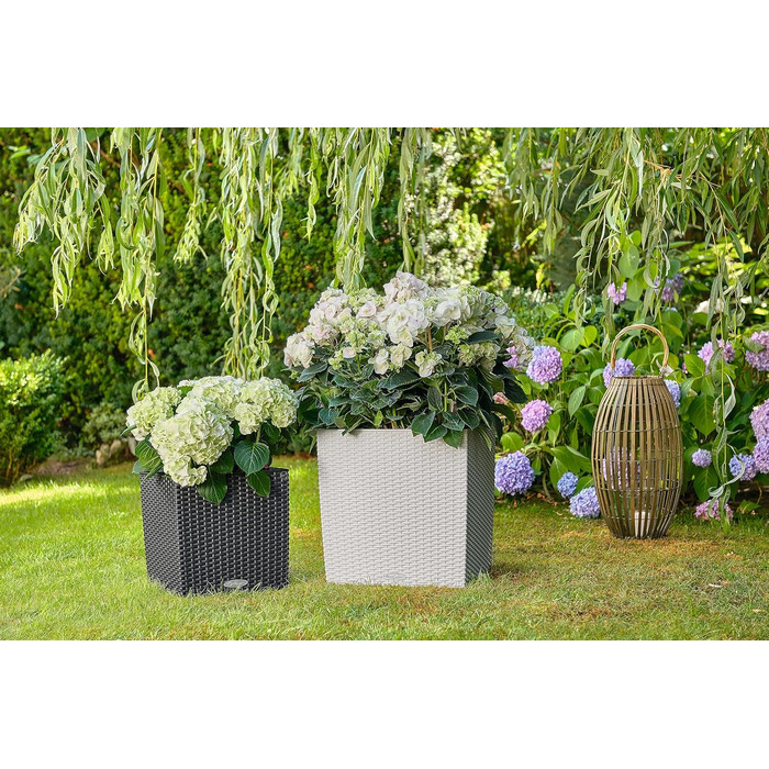 Пляцок Lechuza 'Cube Cottage 30' з системою поливу ґрунтом, граніт, 30 x 30 x 30 см