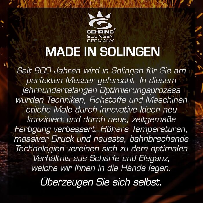 Набір кухонних ножів Gehrig Solingen Home, 6 предметів, з бруском, Made in Germany