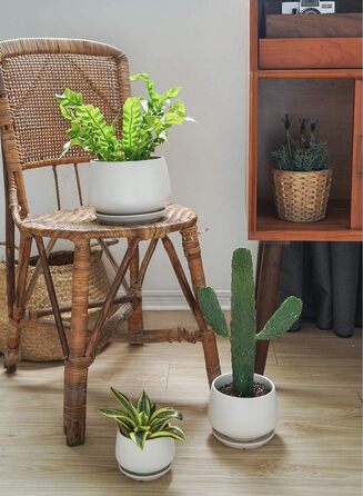 Керамічні горщики LE TAUCI з підставкою, 10+13+16 см, набір з 3 горщиків для кімнатних рослин, з дренажним отвором (білий)