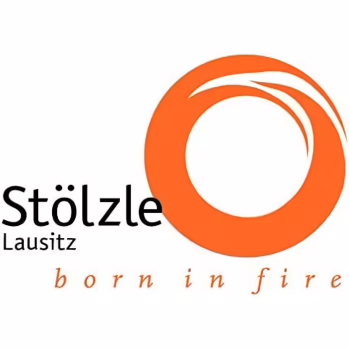 Набір келихів для червоного вина Stölzle Lausitz Experience 695 мл, 6 шт, тонке скло, для бургундського, можна мити в посудомийній машині