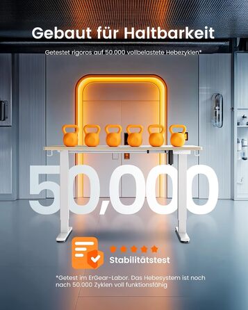 Електричний регульований стіл ErGear 100x60 см, світле дерево, з пам'яттю та з'єднувальною пластиною для дому та офісу