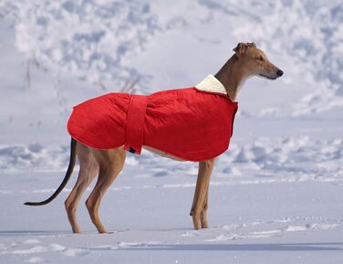 Зимове пальто Greyhound зі стьобаною підкладкою, регульоване, з отвором для посуду, червоне, розмір M