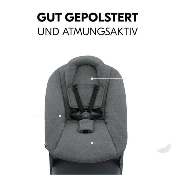 Дитячий стільчик Hauck Alpha Newborn Set Plus Dark Grey - з новонародженим вкладишем, до 90 кг, 5-точкова система кріплення, захисний бар'єр