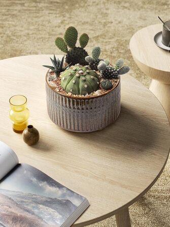 Набір горщиків для сукулентів LE TAUCI, 16,5+20 см, кераміка, для дому, з дренажними отворами, сучасний циліндричний дизайн, набір 2 шт., реактивна глазур чорного кольору