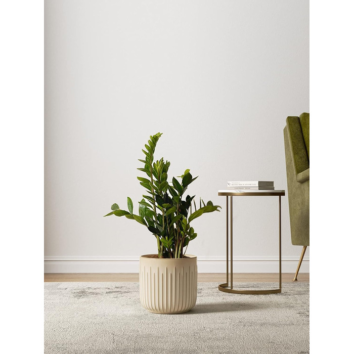 Набір горщиків для квітів LE TAUCI 3шт, кераміка, 21+17+14 см, з дренажними отворами