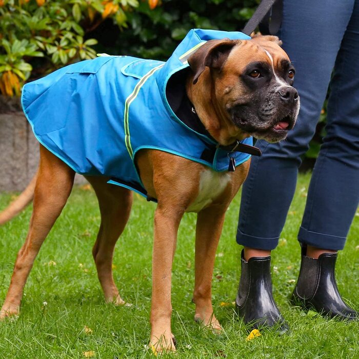 Дощовик для собак Bella & Balu водонепроникний з капюшоном і світловідбивачами, для прогулянок і відпочинку (M помаранчевий)