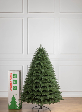 Ялинка лита 'Версальська' Зелена 2,10м