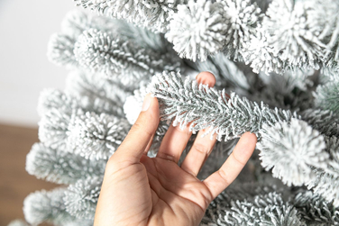 Ялинка лита 'Президентська' конусна ЗАСНІЖЕНА 1,80м