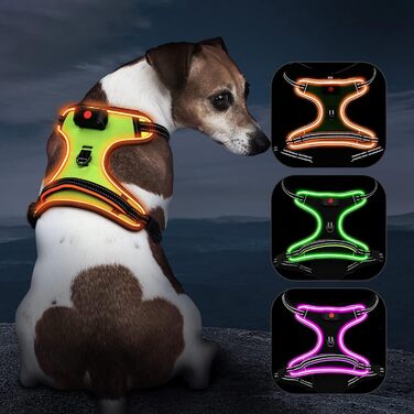 Світлодіодна шлейка для собак, акумуляторна (XS, помаранчева)