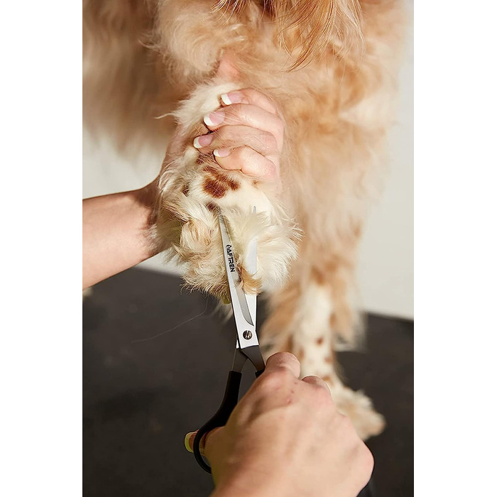 Професійний набір для догляду за собаками, Ножиці для схуднення для домашніх тварин, набір ножиць для схуднення з зубчастим лезом 6,5 дюймів (комплект)