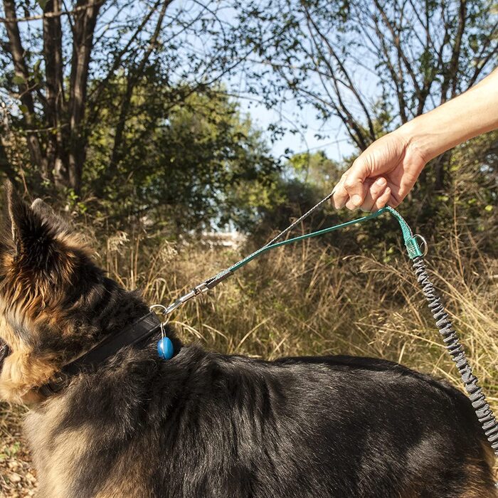 Повідець для бігу для собак Primatik регулюється на 160-220 см. еластичний і світловідбиваючий гучномовець з ременем