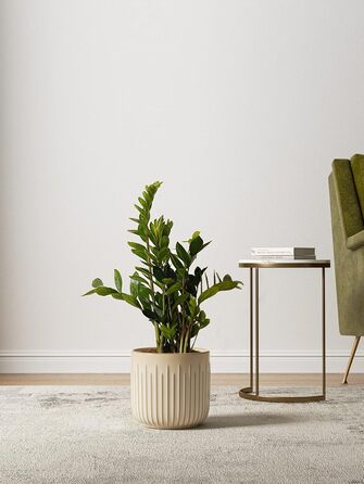 Набір горщиків для квітів LE TAUCI 3шт, кераміка, 21+17+14 см, з дренажними отворами