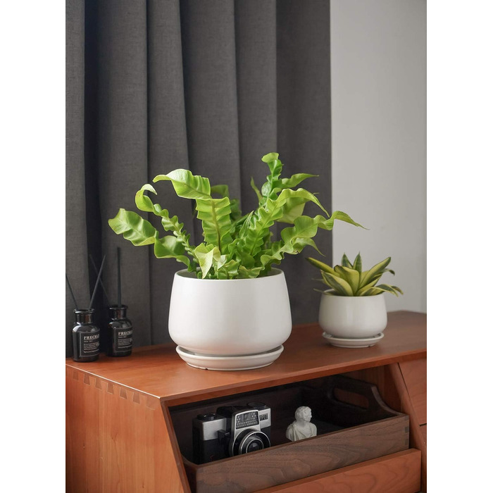 Керамічні горщики LE TAUCI з підставкою, 10+13+16 см, набір з 3 горщиків для кімнатних рослин, з дренажним отвором (білий)