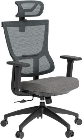 Крісло офісне OfficePro Elegant OC600-B-DG-DG