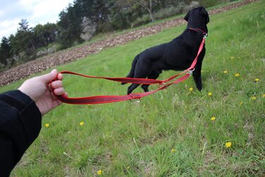 Повідець Activity4Dogs нейлоновий, протиковзкий нековзний, довжиною 2,80 м, Регульований в 4 рази, Багатофункціональний, для собак середнього і великого розміру, виготовлений в Німеччині, доступний в декількох кольорах 2,80 м Червоний