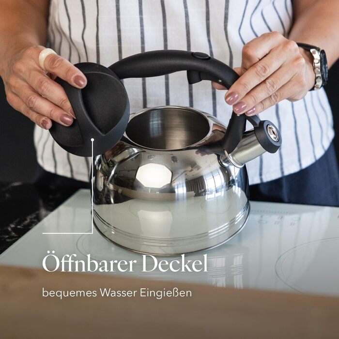 Чайник FLORINA Fenny Satin Induktion 2.5L з нержавіючої сталі, сріблястий