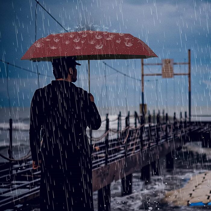 УФ-парасолька від сонячного дощу, 12 ребер Компактна складна парасолька для подорожей для жінок Чоловіки Діти, Автоматичне відкриття Закрити Компактні складні дощові парасольки для щоденного використання, Портативна вітрозахисна парасолька 2 в 1 парасольк