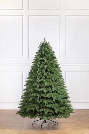 Ялинка лита 'Версальська' ПАРАСОЛЬКА ЗЕЛЕНА 2,50м