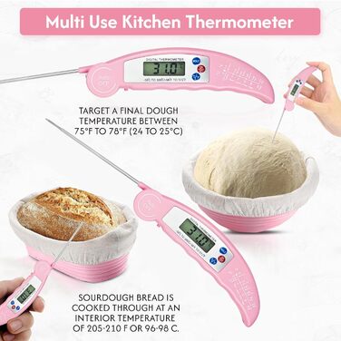 Набір для приготування закваски з вагами, скляний стартер 1,2 л, 2 гнізда для вистоювання, скребок, ваги, повний комплект для приготування (Рожевий)