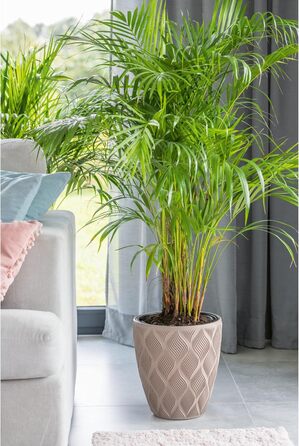 Квітчар MELTOM Blumenkübel: декоративний горщик для квітів з винімним вкладишем, кругла форма, 3D ефект, колір Taupe (M)